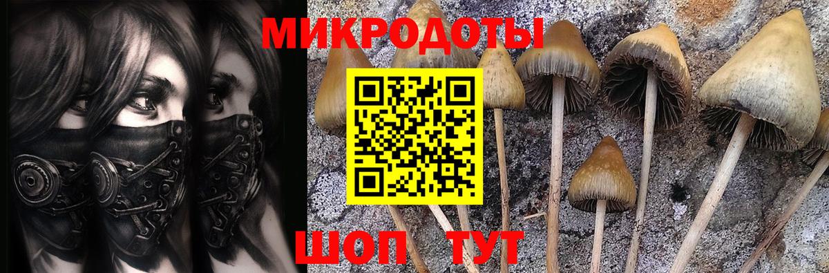 Карпинск  Псилоцибиновые грибы MAGIC MUSHROOMS  Псилоцибиновые грибы мицелий  Вход с VPN 